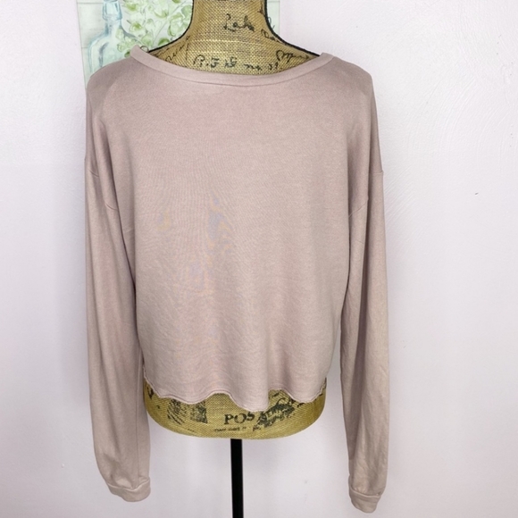 Alya Francesca’s Sheer Swiss Dot Inset Cropped Sweatshirt Blush Taupe Medium - Picture 5 of 8